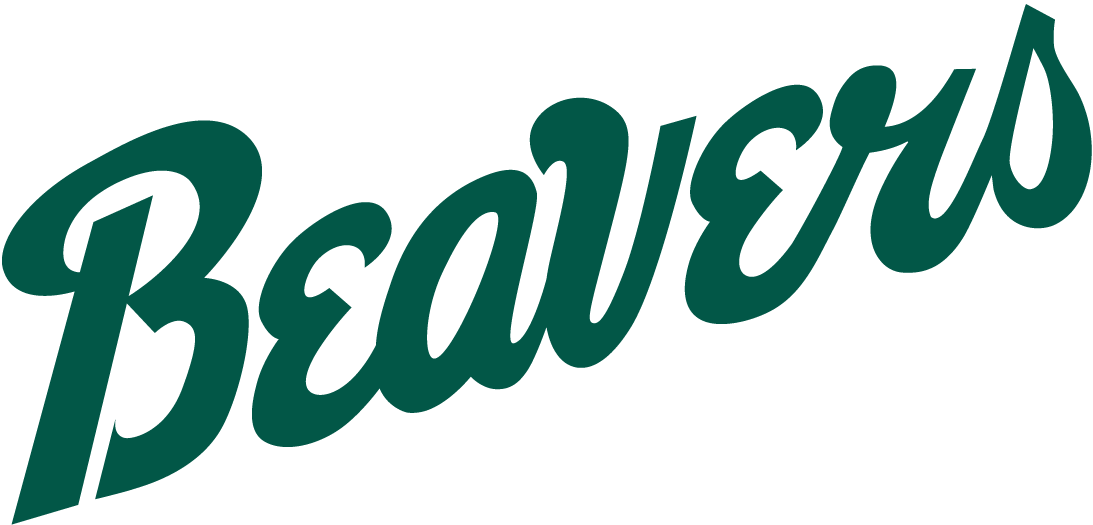 Bemidji State Beavers 2004-Pres Wordmark Logo diy DTF decal sticker